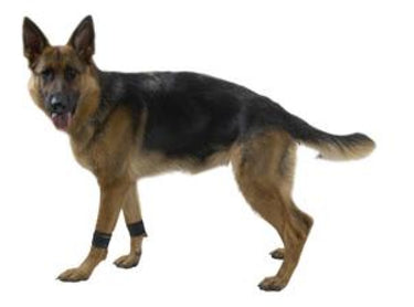 Rehab weight cuffs for dogs Small